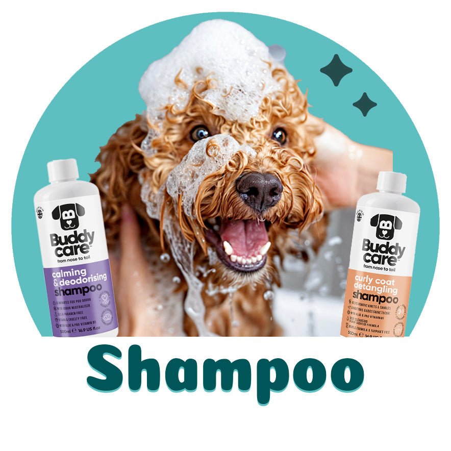 Dog Shampoo & Conditioner