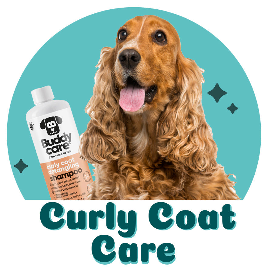 CURLY COAT CARE