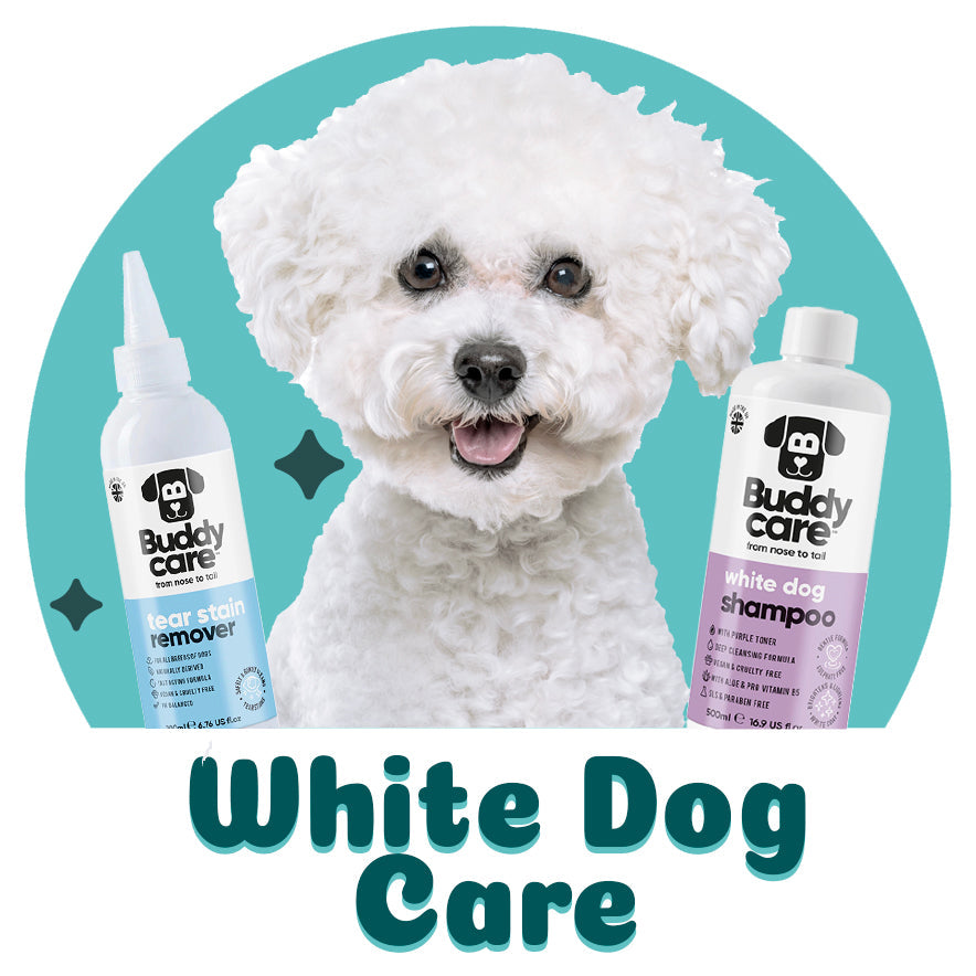 White Dog Care