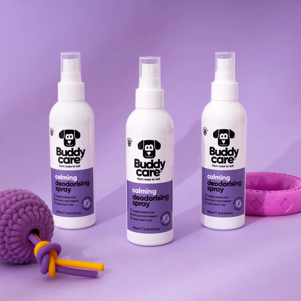 Dog Deodorising Spray - Calming Lavender - 200ml
