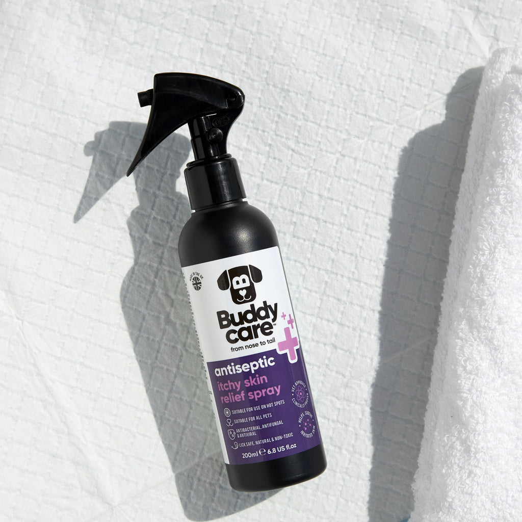 Itchy Skin Antiseptic Spray - Buddy Care - 200ml