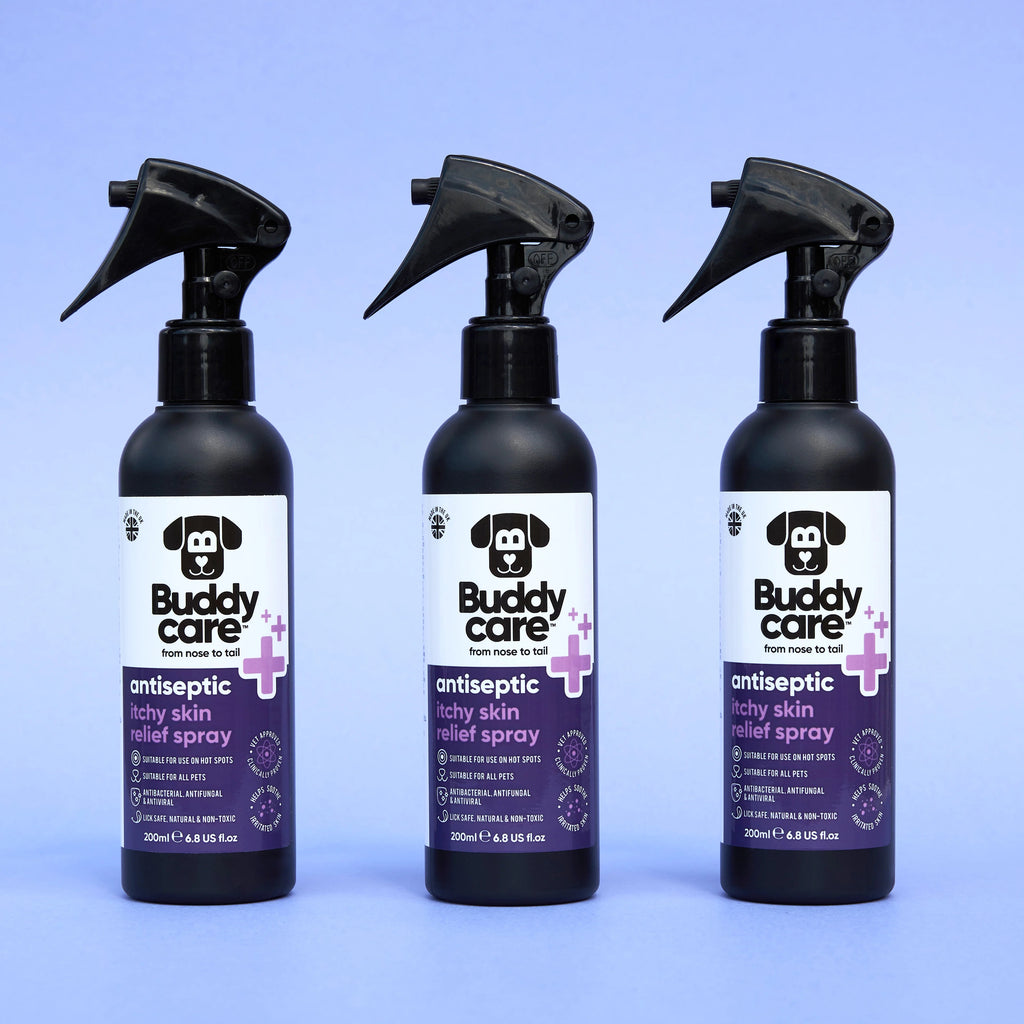 Itchy Skin Antiseptic Spray - Buddy Care - 200ml