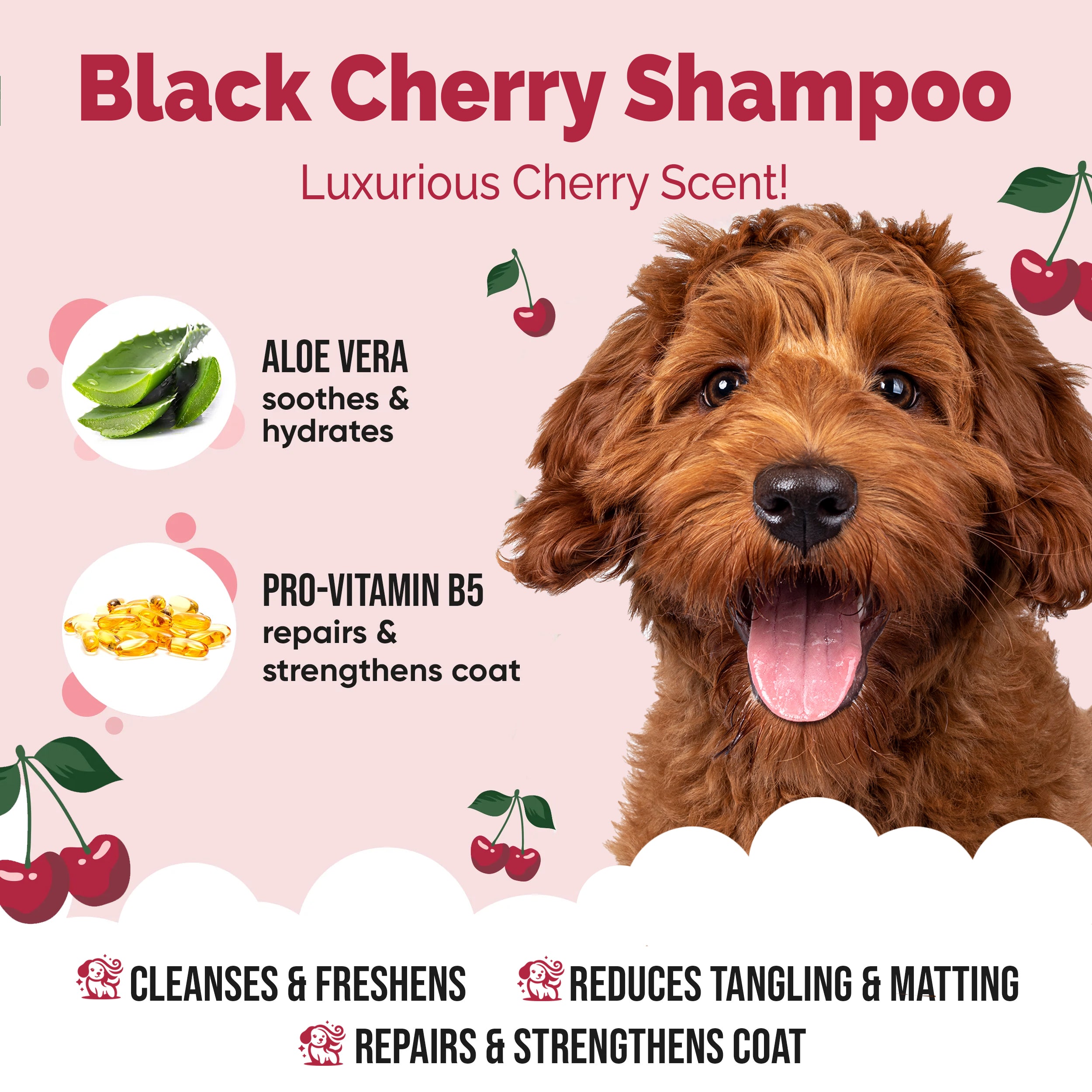 Black Cherry - Dog Shampoo - Buddycare - 300ml