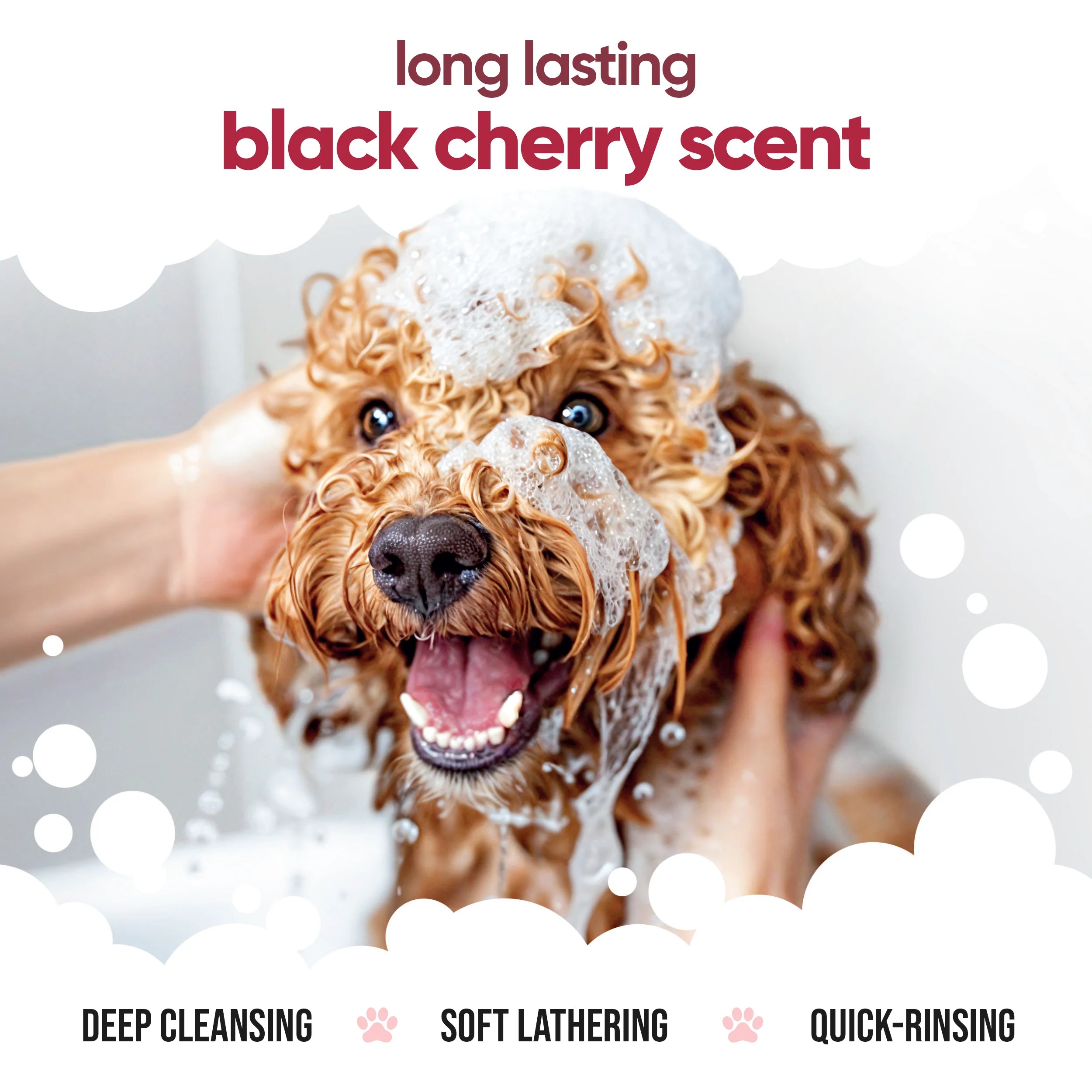 Black Cherry - Dog Shampoo - Buddycare - 300ml