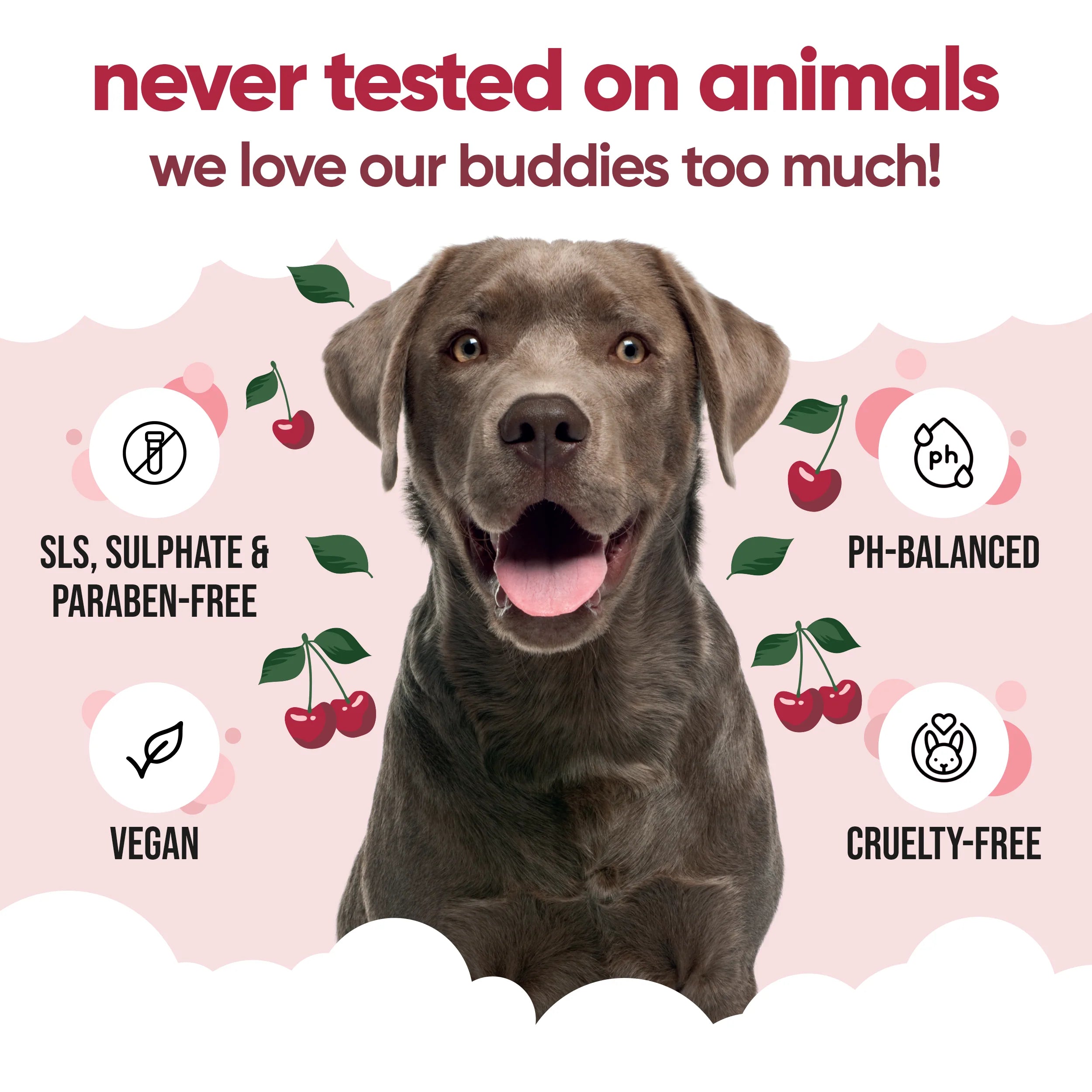 Black Cherry - Dog Shampoo - Buddycare - 300ml