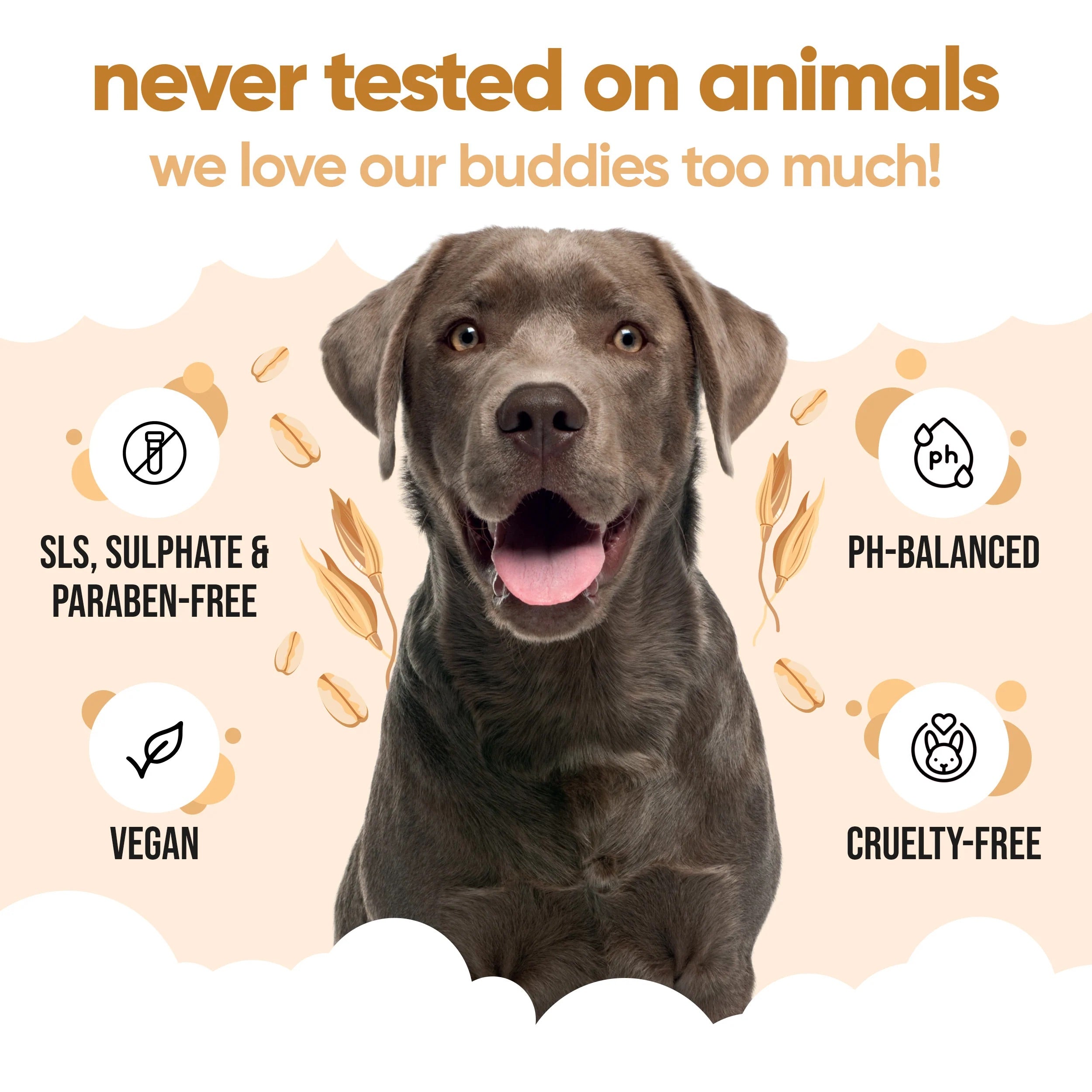 Oatmeal - Dog Shampoo - Buddycare - 300ml