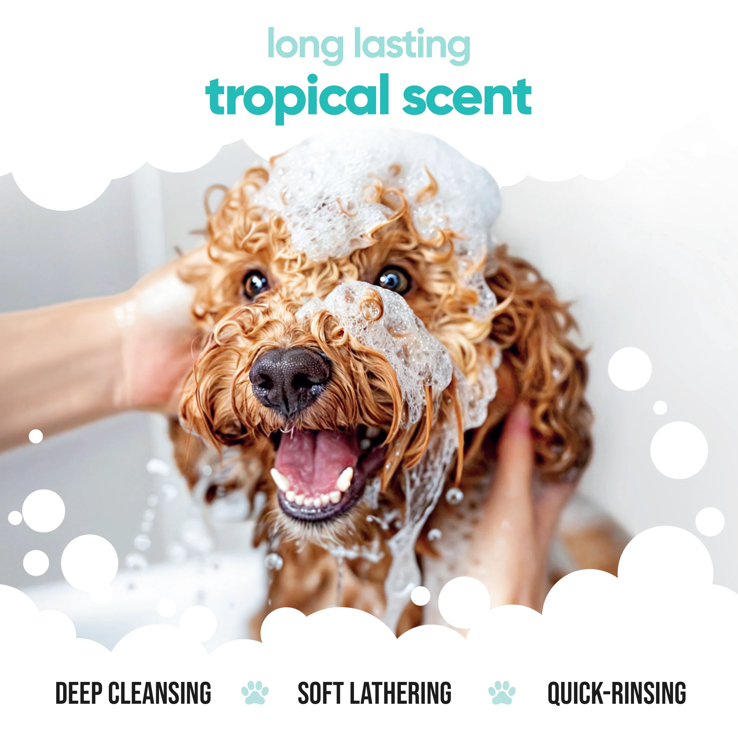 Tropical - Dog Shampoo - Buddycare - 300ml