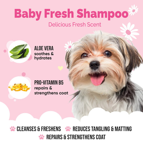 Baby Fresh - Dog Shampoo - Buddycare - 300ml