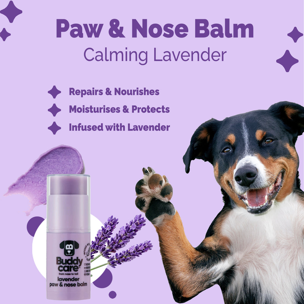 Paw & Nose Balm - Lavender - Vegan
