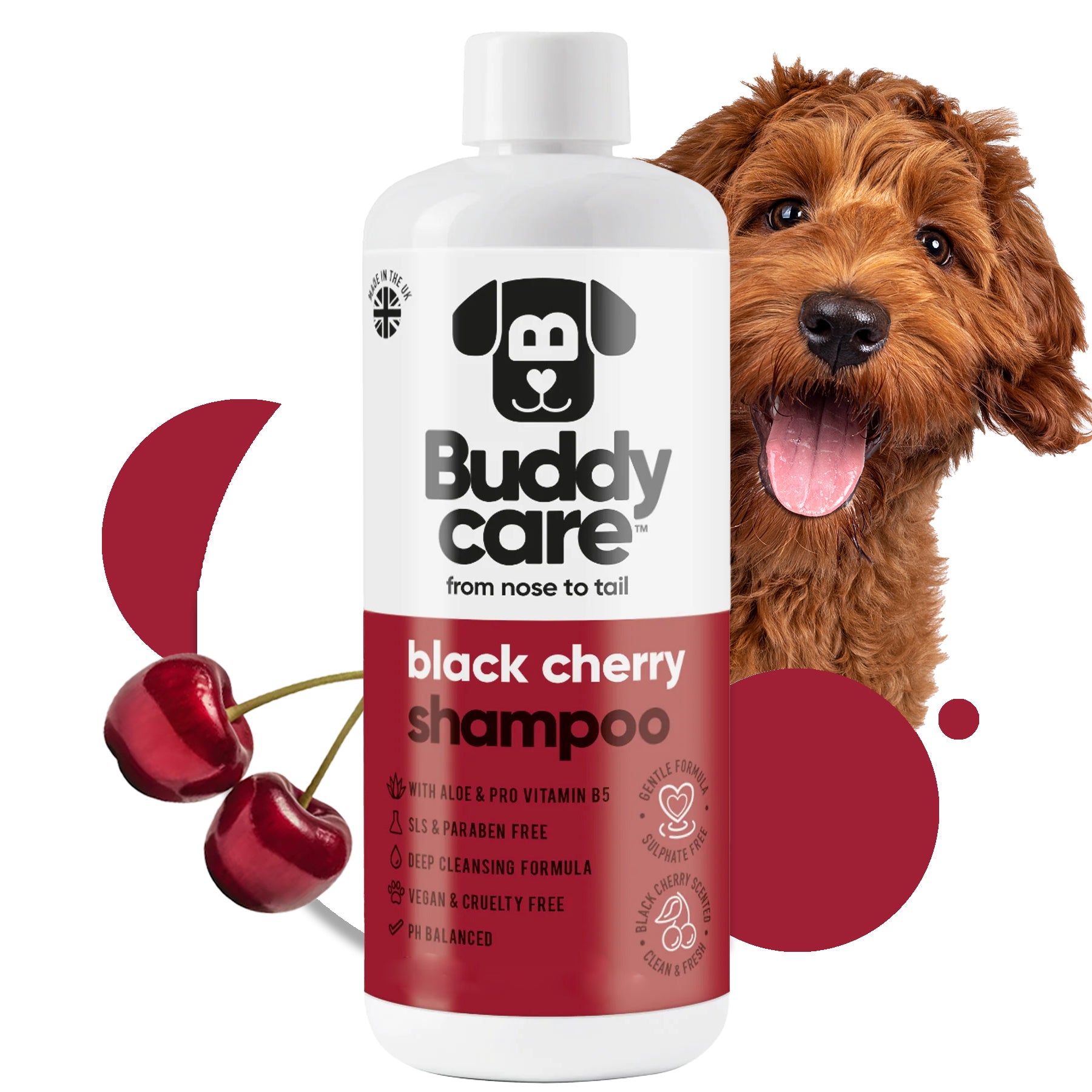 Black Cherry - Dog Shampoo - Buddycare - 300ml Vegan ph Balanced