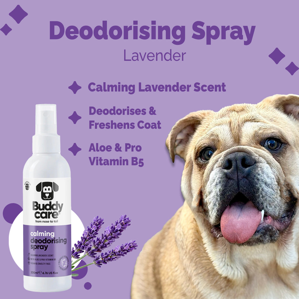 Dog Deodorising Spray - Calming Lavender - 200ml