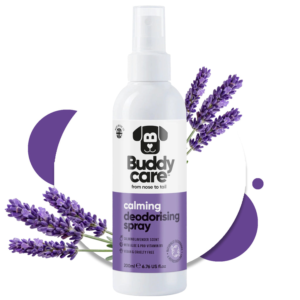 Dog Deodorising Spray - Calming Lavender - 200ml