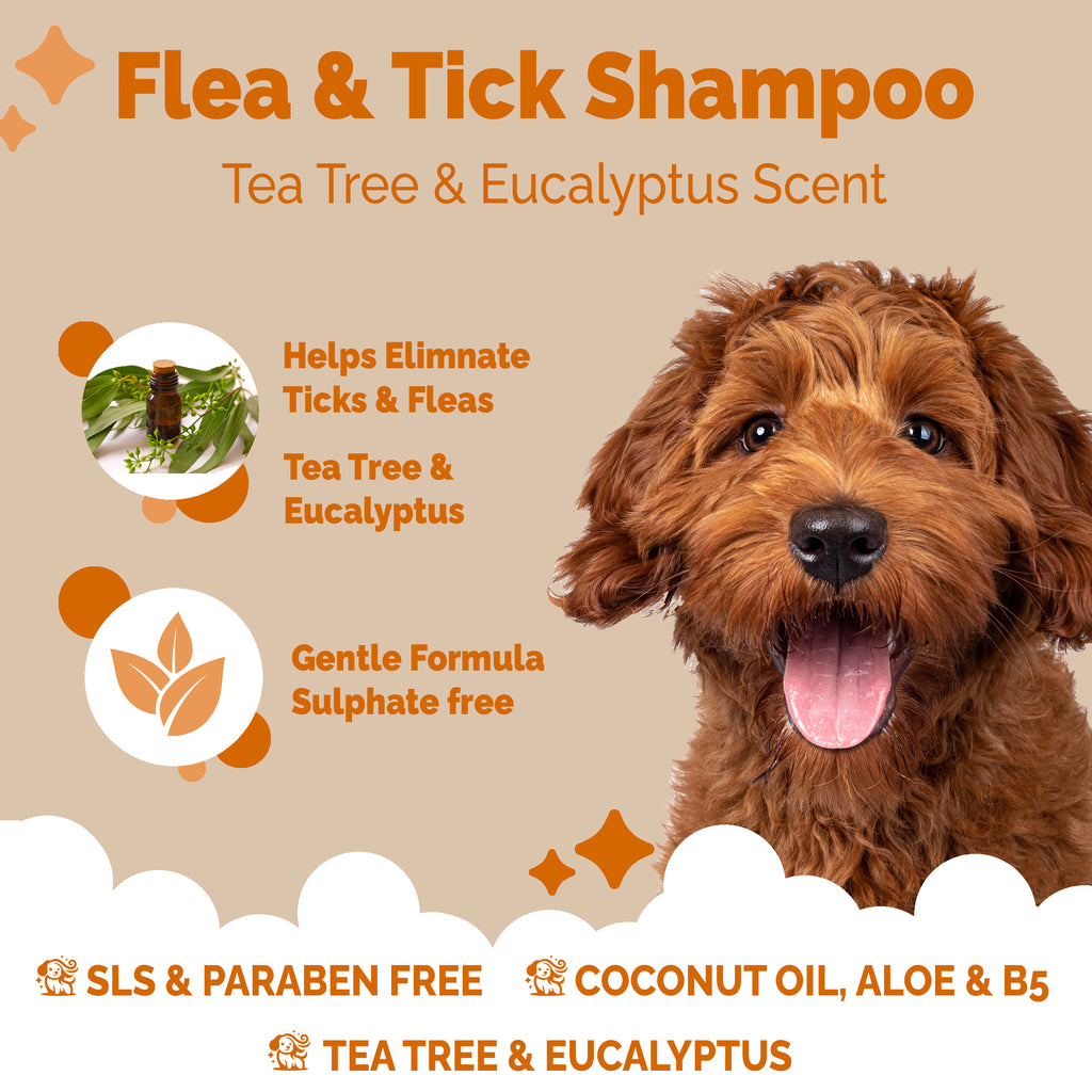 Flea & Tick - Dog Shampoo - Buddycare  - 300ml Vegan ph Balanced