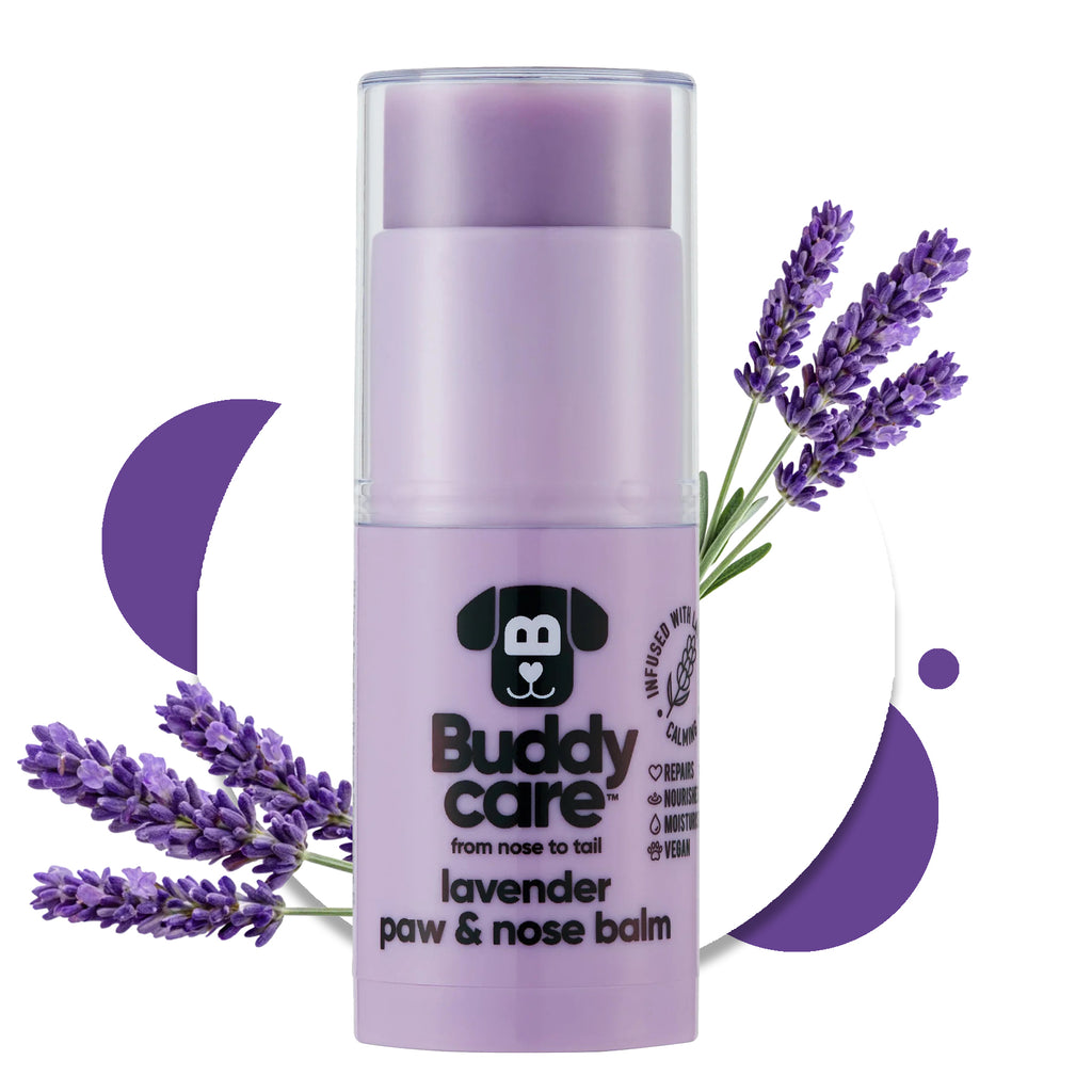 Paw & Nose Balm - Lavender - Vegan