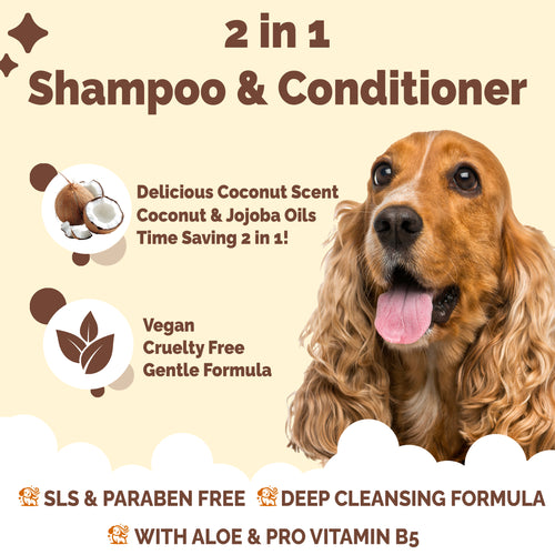 2 in 1 Coconut - Dog Shampoo & Conditioner - Buddy Care - 300ml