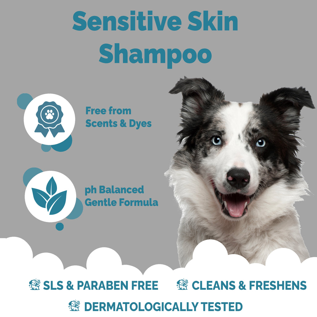 Derma Sensitive - Dog Shampoo - Buddycare - 300ml Vegan ph Balanced