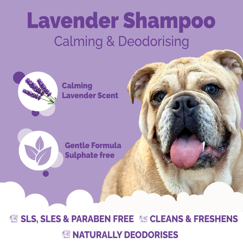 Calming & Deodorising Lavender Dog Shampoo - Buddy Care - 300ml -Vegan ph Balanced