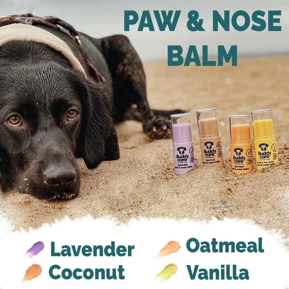 Paw & Nose Balm - Oatmeal - Vegan