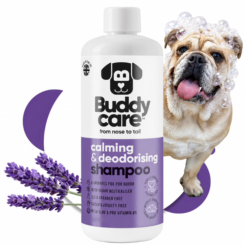 Calming & Deodorising Lavender Dog Shampoo - Buddy Care - 300ml -Vegan ph Balanced