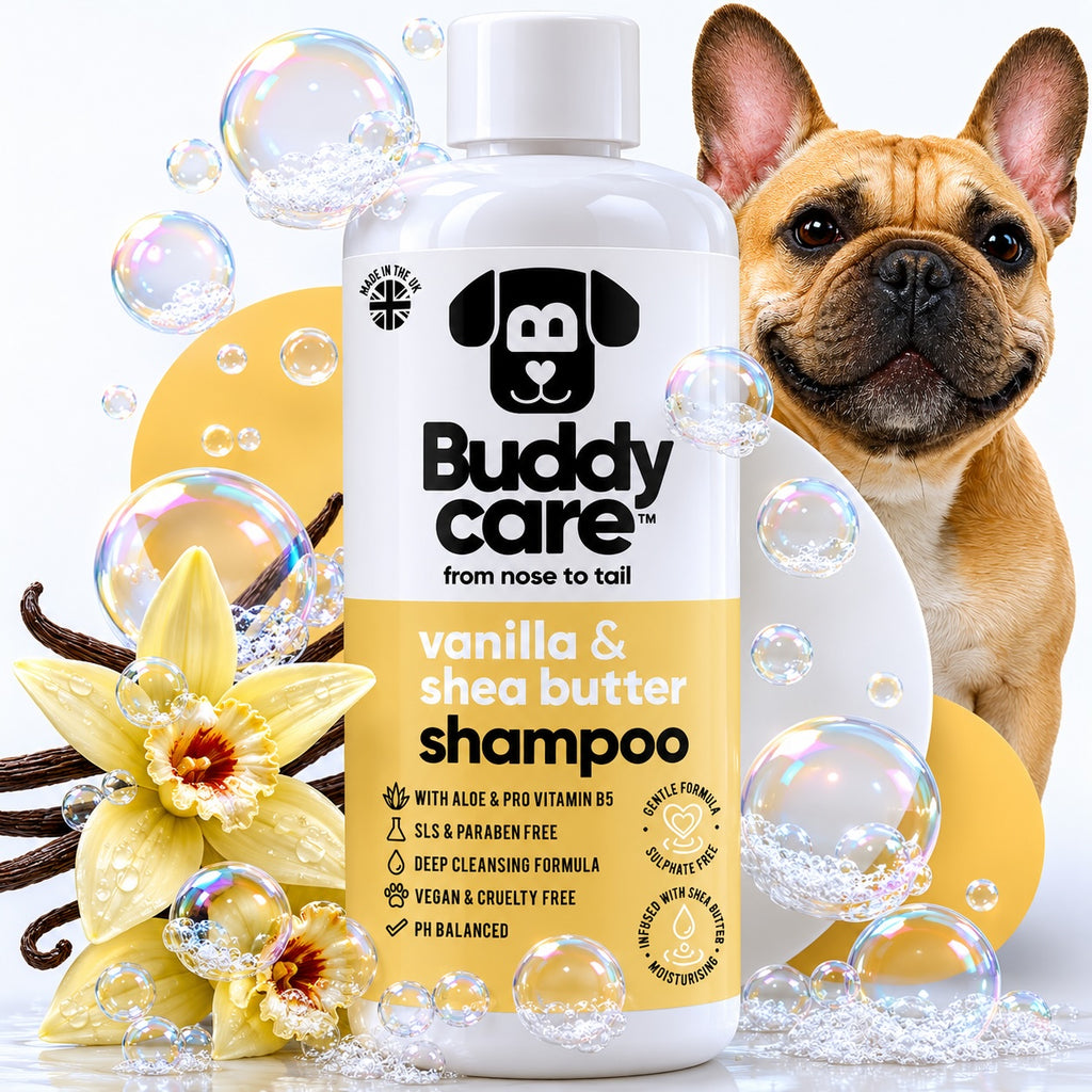 Vanilla & Shea Butter - Dog Shampoo - Buddycare - 300ml Vegan ph Balanced